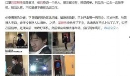杨紫李现最新报纸爆料,甜蜜互动引网友热议