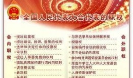 国家权力在线观看,在线观看国家权力动态