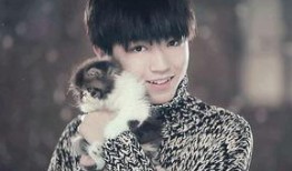 黄子韬爸妈爆料视频事件,揭秘背后真相