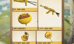 小转盘和平精英最新爆料,和平精英迎来全新爆料！