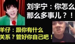 配音爆料羊仔视频大全最新,揭秘最新视频大全幕后故事