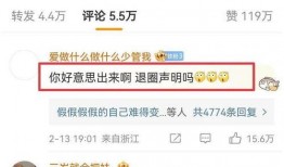 陈飞爆料视频大全集,揭秘背后真相与精彩瞬间