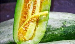 网红瓜都在哪里吃的,揭秘瓜都在哪里畅享美味时光