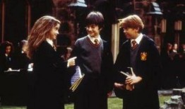 哈利庭审最新爆料新闻,惊人内幕揭露案件真相