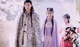 双世宠妃电视在线观看,在线观看，重温甜蜜瞬间