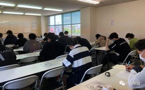 娱乐圈吃大瓜小说推荐完结