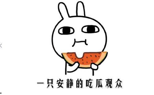 坐等吃瓜是什么意思,揭秘网络热议背后的围观心理